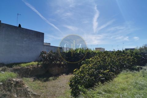 Terra a Calimera, Lecce, Calimera - € 85.000 | Ref: SE008 - foto 10
